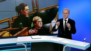 Yle Uutiset viittomakielellä