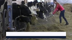 Yle Uutiset Keski-Suomi ja Etelä-Savo