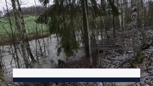 Yle Uutiset Pirkanmaa