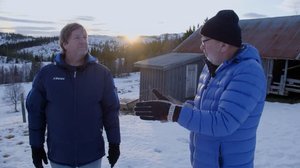 Agnes Waaden arvoitus