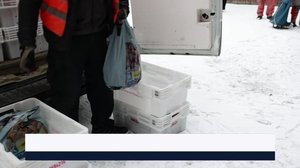 Yle Uutiset Pirkanmaa