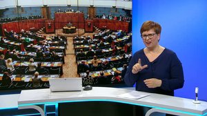 Yle Uutiset viittomakielellä