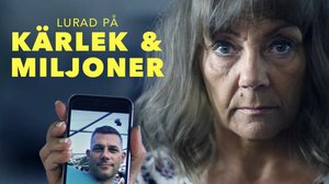 Miljoonien rakkauspetos