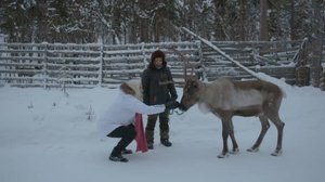 Tastula - toista maata