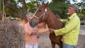 Ratsastuksen maailma