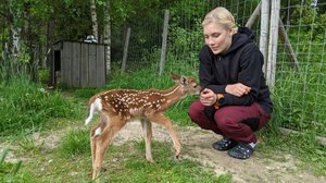 Rakkaudesta villieläimiin