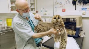 Rakkaudesta villieläimiin