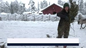 Yle Uutiset Pohjois-Suomi