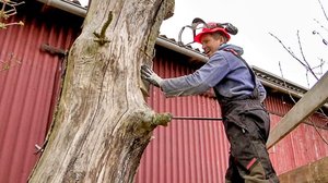 Tanskalainen maajussi