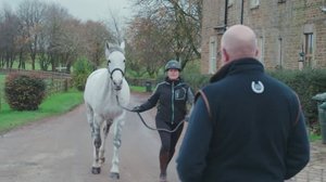 Ratsastuksen maailma