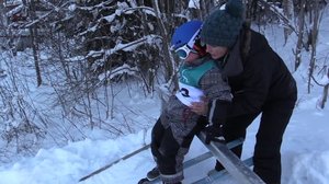 Norjaa ristiin rastiin