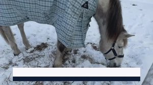 Yle Uutiset Pirkanmaa