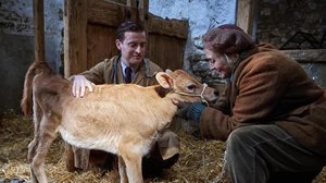 Kaikenkarvaiset ystäväni