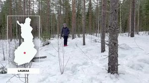 Yle Uutiset Uutis-Suomi