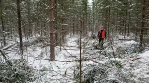 Yle Uutiset Keski-Suomi ja Etelä-Savo