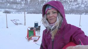 Norjaa ristiin rastiin