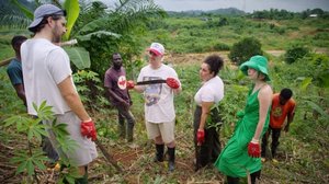 Verta, hikeä ja ...