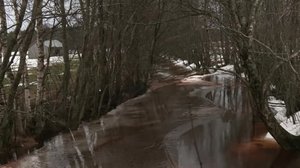 Yle Uutiset Pohjanmaa