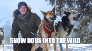 Koiravaljakon matkassa