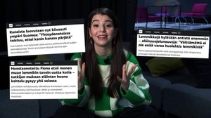 HYLÄTYT LEMMIKIT!! – MISTÄ ELÄIMELLE UUSI KOTI?!