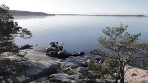 Yle Uutiset Lounais-Suomi