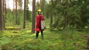 Yle Uutiset Pohjois-Suomi