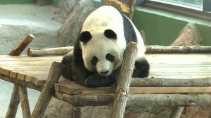 Yle Uutiset Pohjanmaa