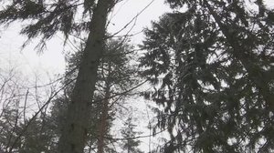 Yle Uutiset Kaakkois-Suomi