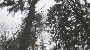 Yle Uutiset Keski-Suomi ja Etelä-Savo