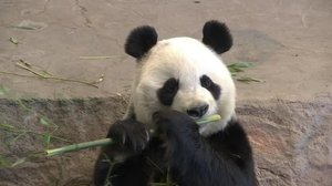 Yle Uutiset Pohjanmaa