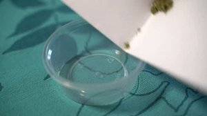 Yle Uutiset Kaakkois-Suomi