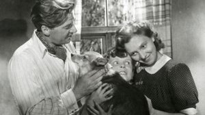 Pikku-Matti maailmalla