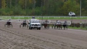 Yle Uutiset Keski-Suomi ja Etelä-Savo