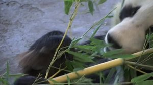 Yle Uutiset Pohjanmaa