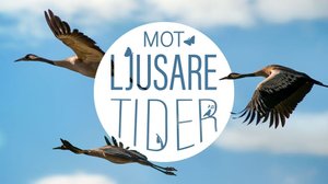 Kohti valoa - kuvia keväisestä Ruotsista