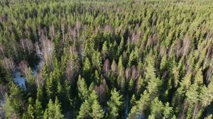 Yle Uutiset Pirkanmaa