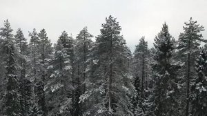 Yle Uutiset Pohjois-Suomi