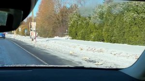 Yle Uutiset Lounais-Suomi