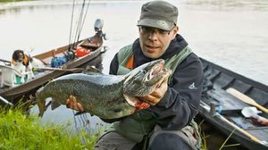 Erätulilla - kalavesillä