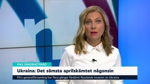 Yle Nyheter TV-nytt 17.55