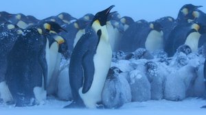 Avara luonto: Jäinen planeetta