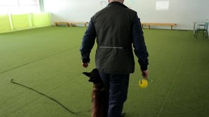 Yle Uutiset Pohjanmaa