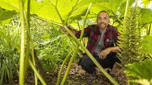 Søren Vesterin puutarha