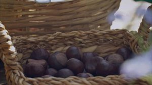 Strömsöstä poimittua