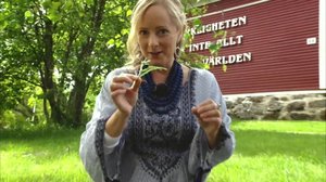 Strömsöstä poimittua