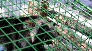 Yle Uutiset Kaakkois-Suomi