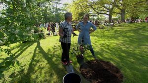 Strömsöstä poimittua