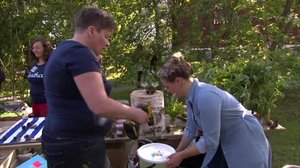 Strömsöstä poimittua