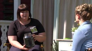 Strömsöstä poimittua