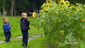 Strömsöstä poimittua